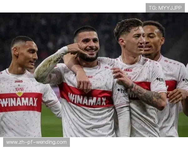 德甲俱乐部球队性质分类