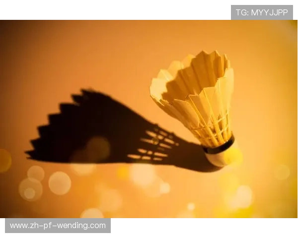 羽毛球击球爱等球