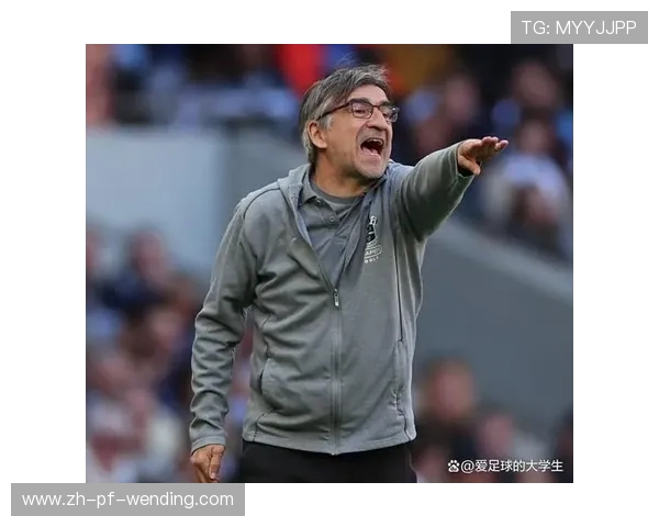 英超南安普顿前主教练的离任原因与影响