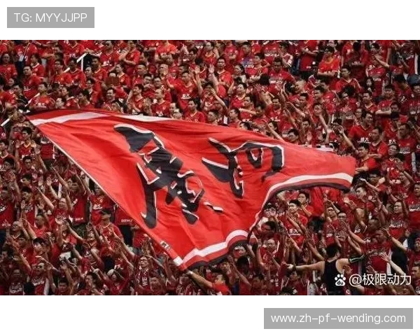 金元时代之后中超联赛可持续发展路径探索 金元时代之后中超联赛可持续发展路径探索